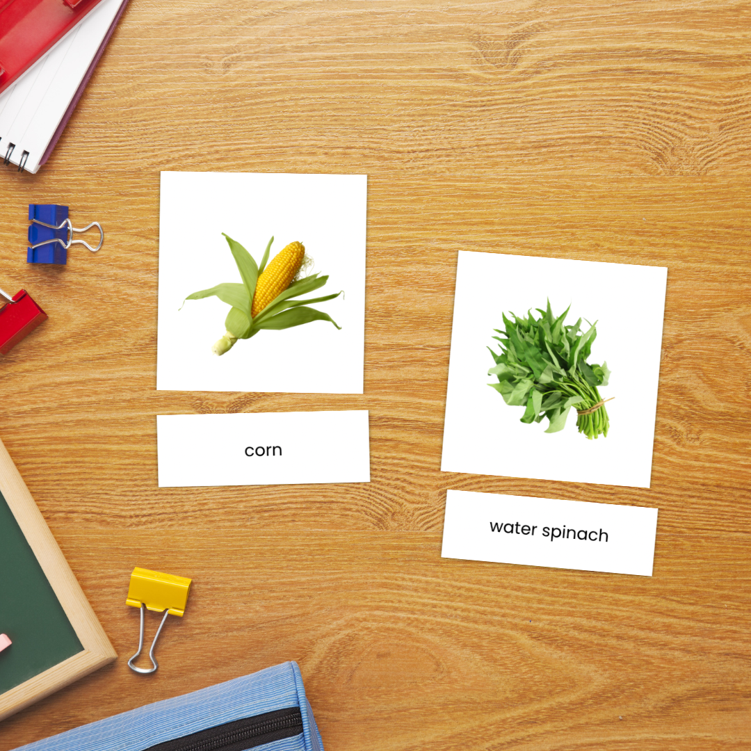 Kartu Kosakata Sayuran Terinspirasi Montessori 3 Bagian dengan Gambar Asli 