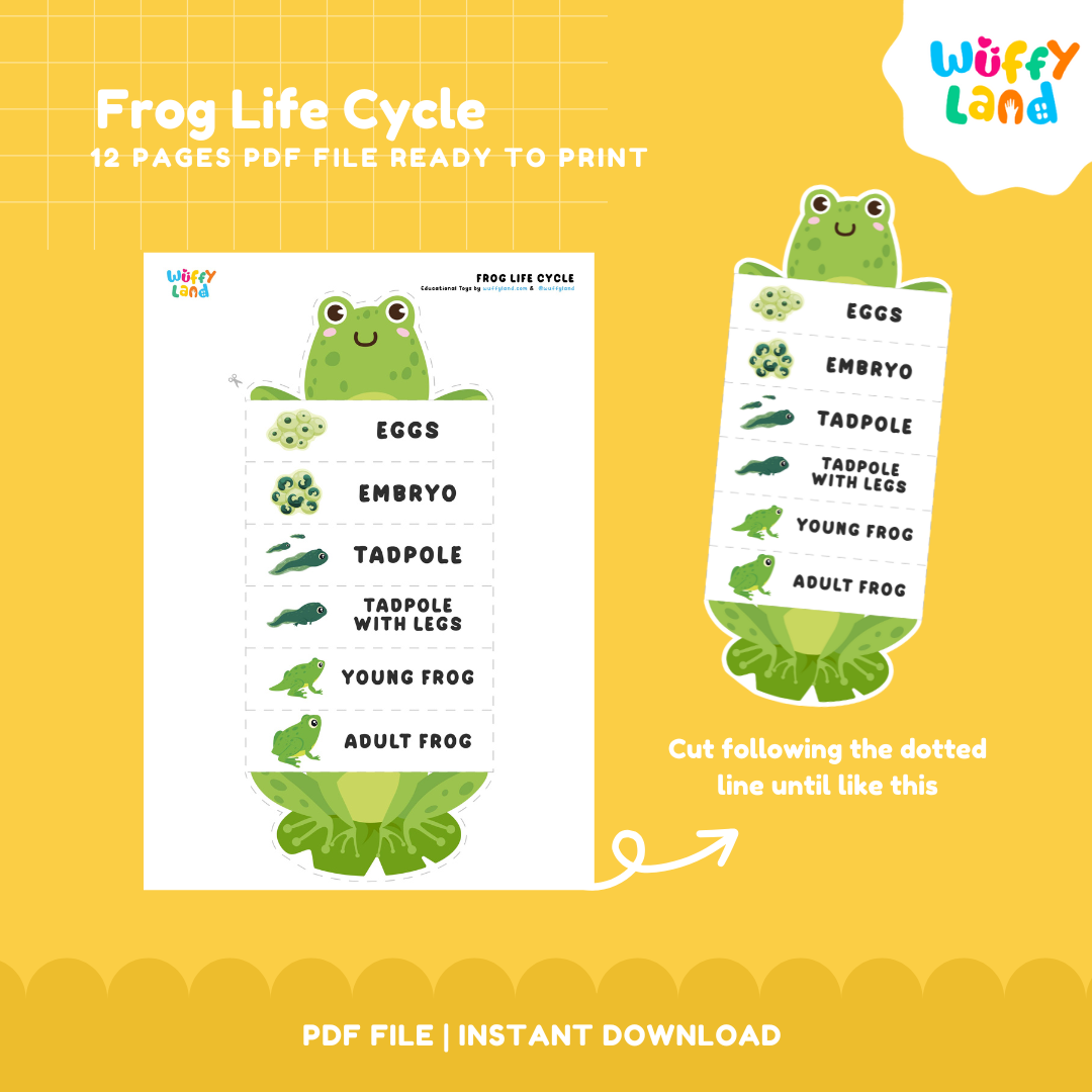 Frog Life Cycle Printable - Fun & Educational Science Activity for Kids