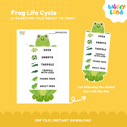 Frog Life Cycle Printable - Fun & Educational Science Activity for Kids