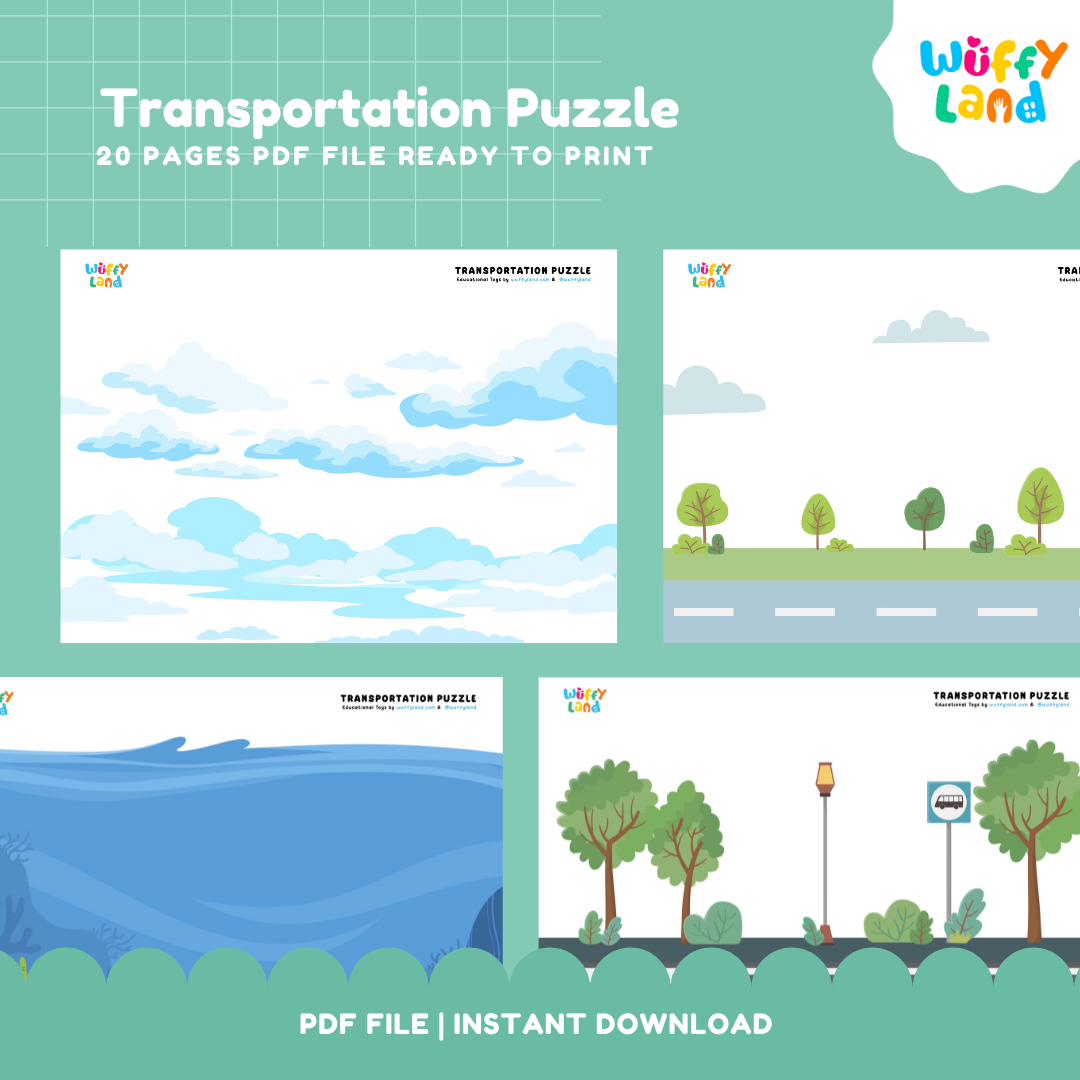 Transportation Puzzle