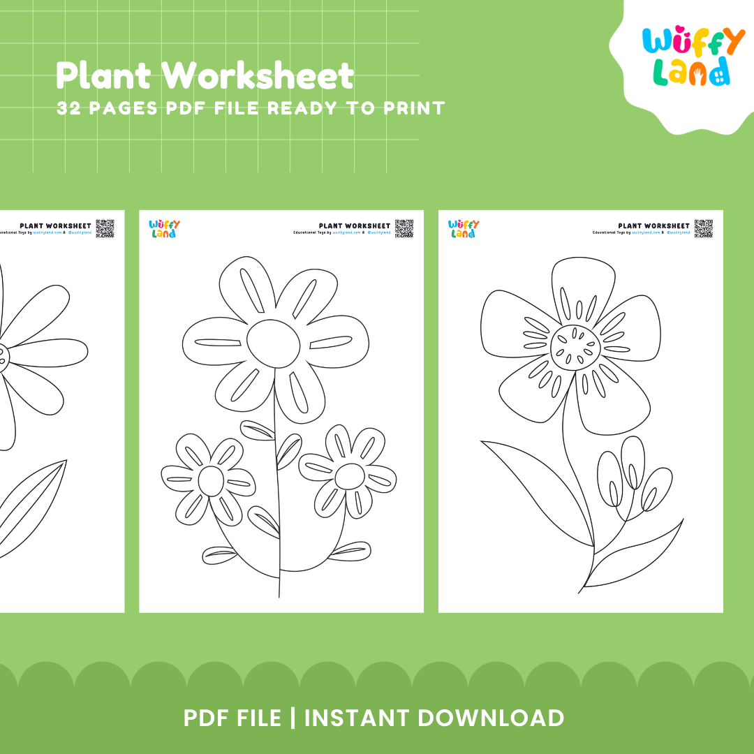 Plant Learning Worksheets for Kids - Printable Education Activities