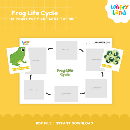 Frog Life Cycle Printable - Fun & Educational Science Activity for Kids