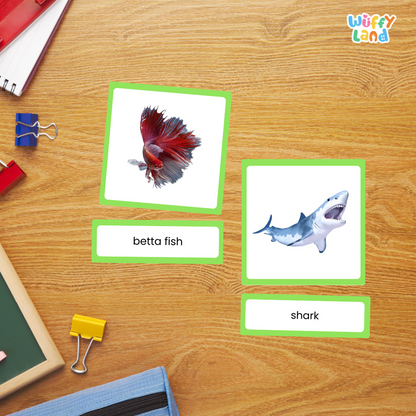 Kartu Montessori 3 Bagian Seri Zoologi IKAN Gambar Asli