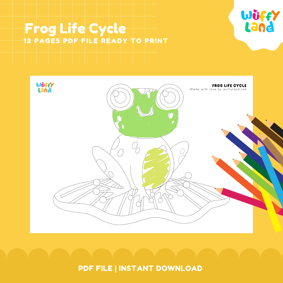 Frog Life Cycle Printable - Fun & Educational Science Activity for Kids