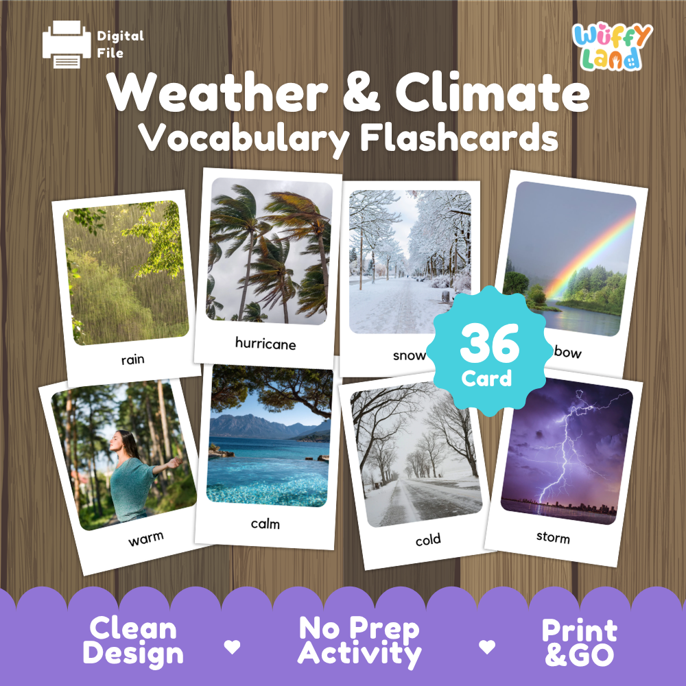 Weather and Climate Vocabulary Flashcards Printable Real Photo Cards