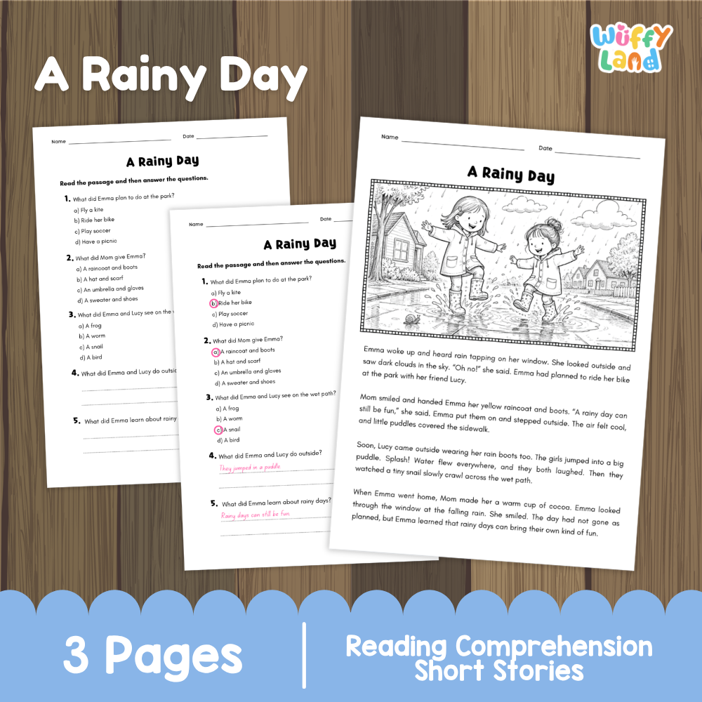 A Rainy Day Reading Comprehension Passage and Questions Worksheets