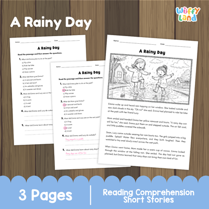 A Rainy Day Reading Comprehension Passage and Questions Worksheets