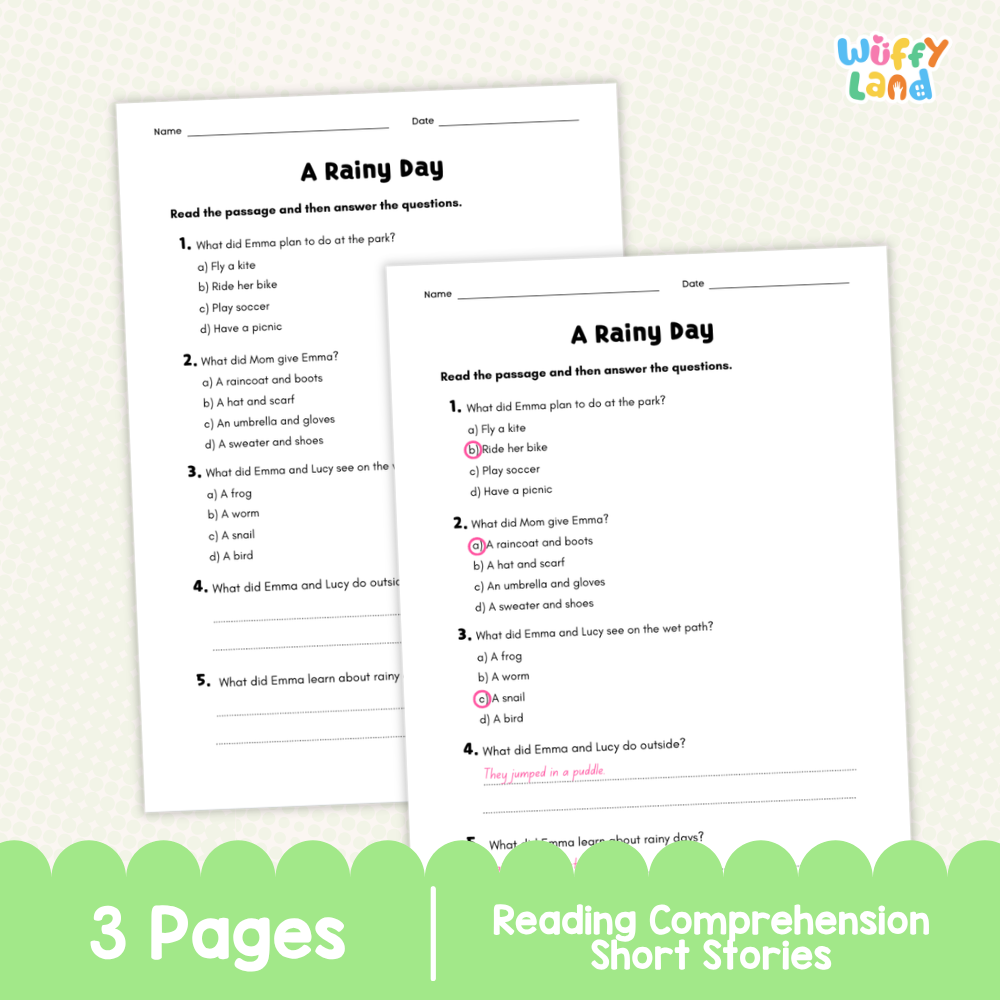 A Rainy Day Reading Comprehension Passage and Questions Worksheets