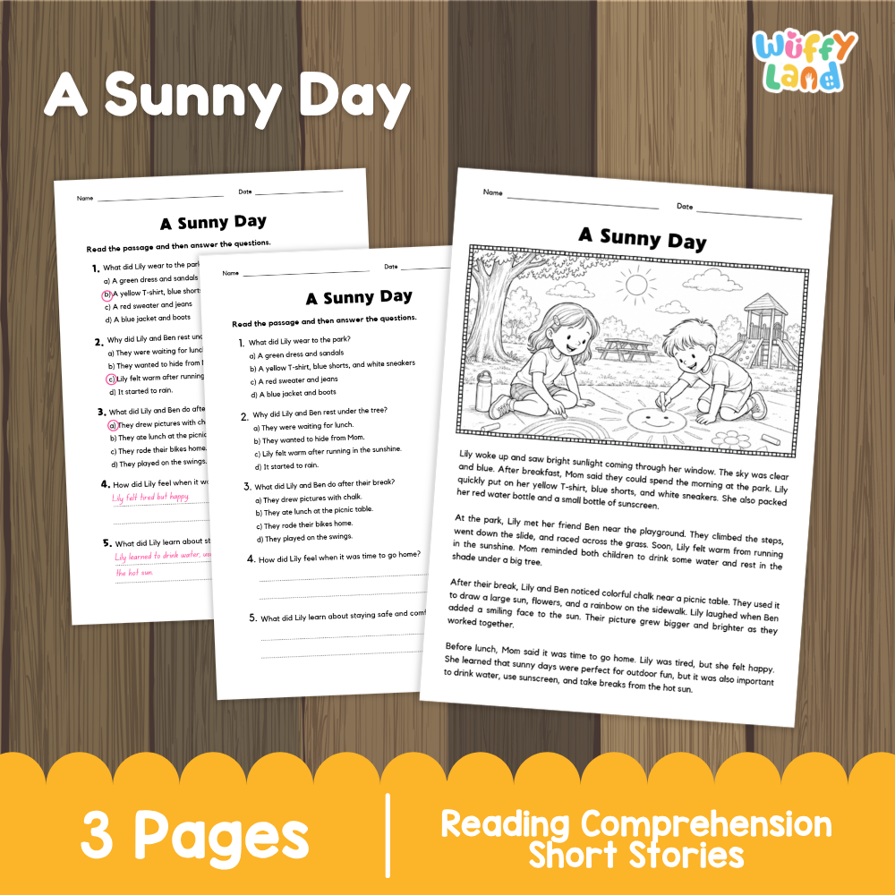 A Sunny Day Reading Comprehension Passage and Questions Worksheets