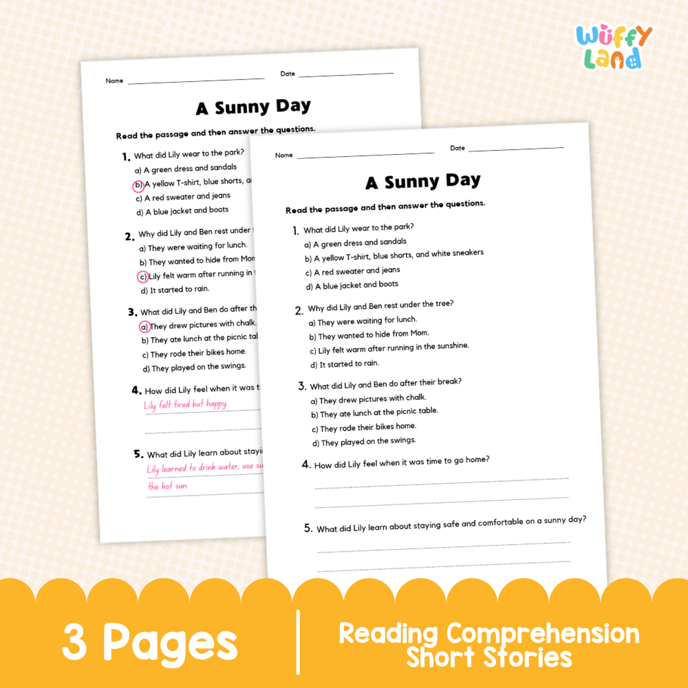 A Sunny Day Reading Comprehension Passage and Questions Worksheets