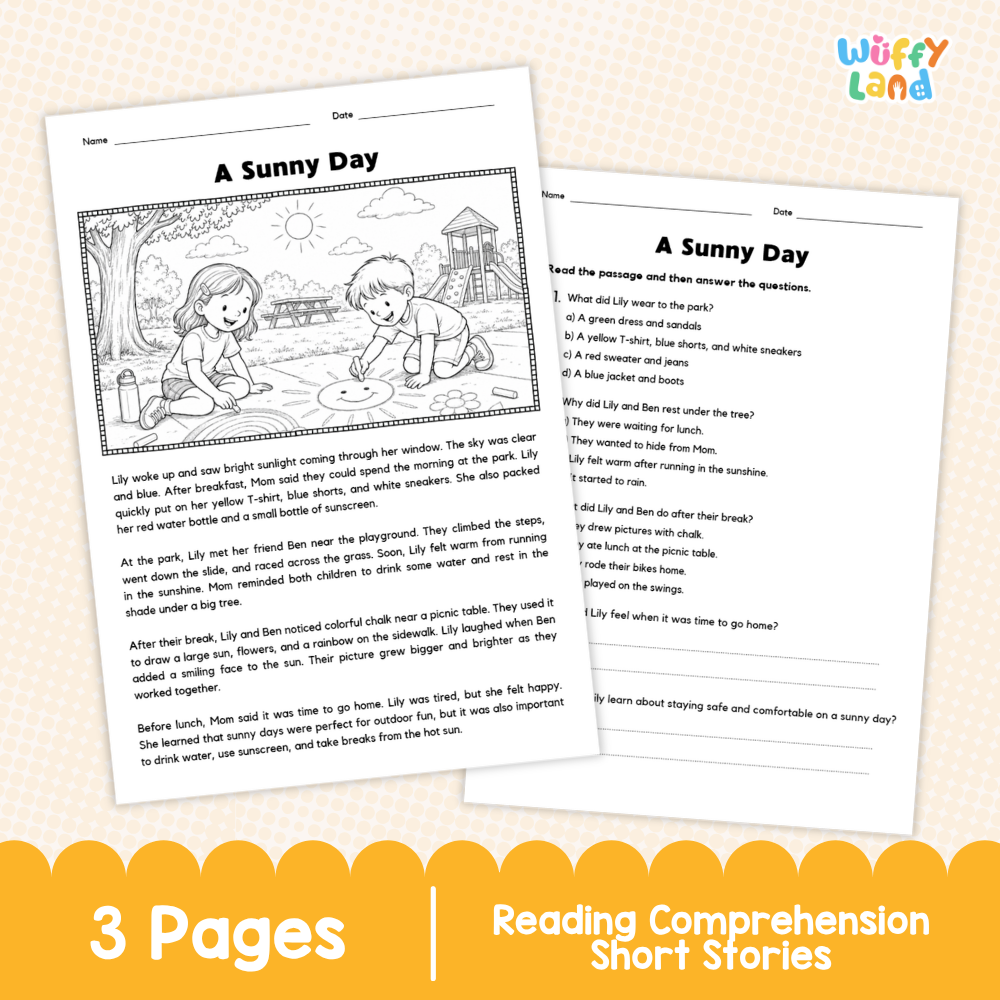 A Sunny Day Reading Comprehension Passage and Questions Worksheets