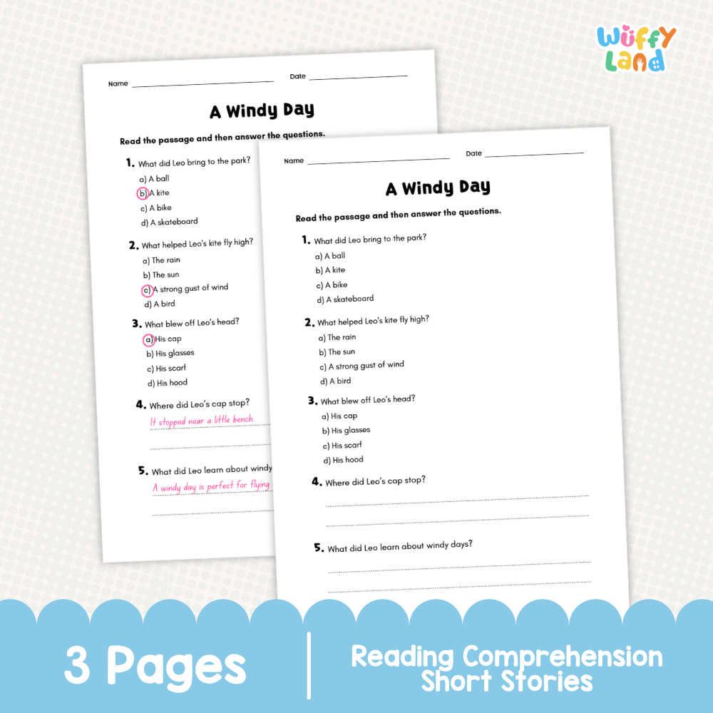 A Windy Day Reading Comprehension Passage and Questions Worksheets