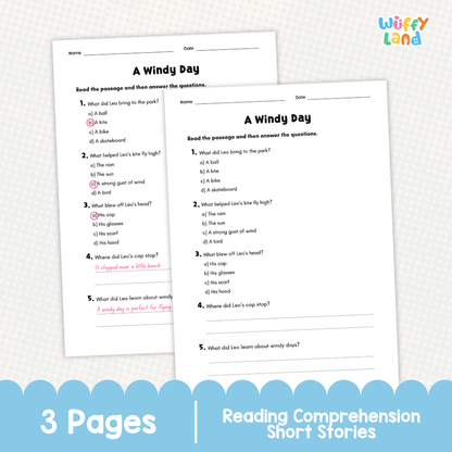 A Windy Day Reading Comprehension Passage and Questions Worksheets