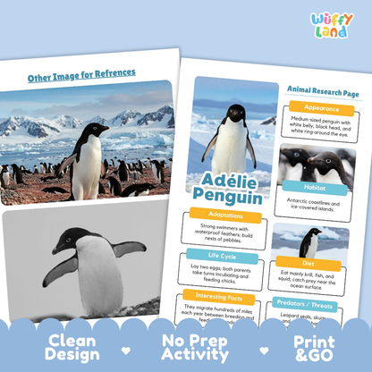 Two educational activity sheets about penguins from Wiffly Land, displayed on a light blue background with promotional text at the bottom highlighting clean design, no prep activity, and print-and-go use.