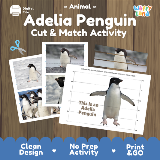 Adelia Penguin Cut and Match Activity Printables Worksheets