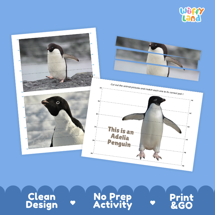 Adelia Penguin Cut and Match Activity Printables Worksheets
