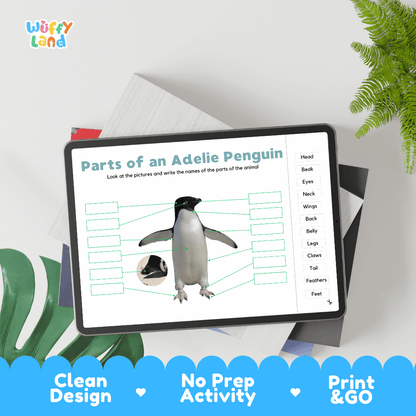 Hands-on Adelie penguin anatomy cut and paste worksheet with printable word tags, callout pointer lines, and scissors graphic