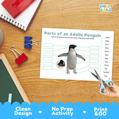Differentiated Adelie penguin body parts labeling worksheets featuring fill-in write-in boxes and vocabulary word bank