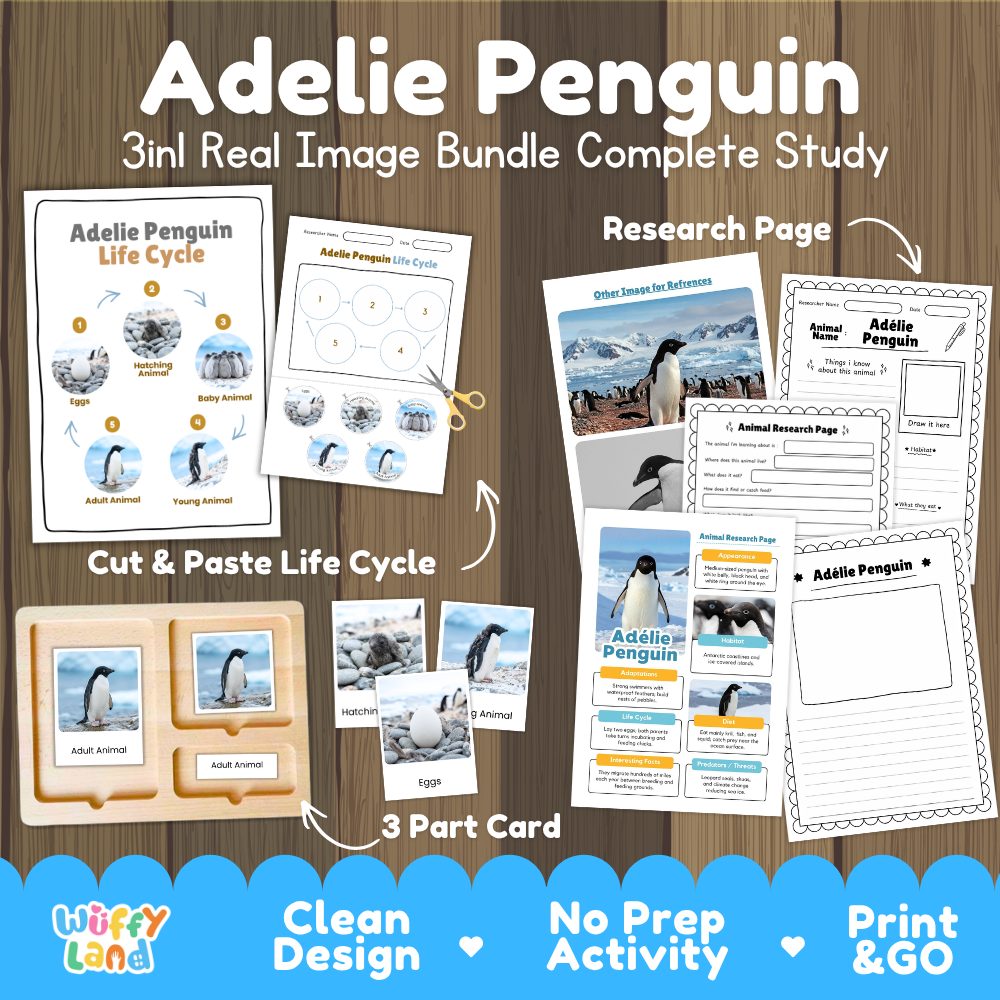 Adelie Penguin 3-in-1 real image bundle complete study cover showing cut and paste life cycle, 3 part cards, and research pages
