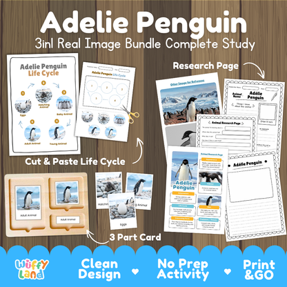 Adelie Penguin 3-in-1 real image bundle complete study cover showing cut and paste life cycle, 3 part cards, and research pages