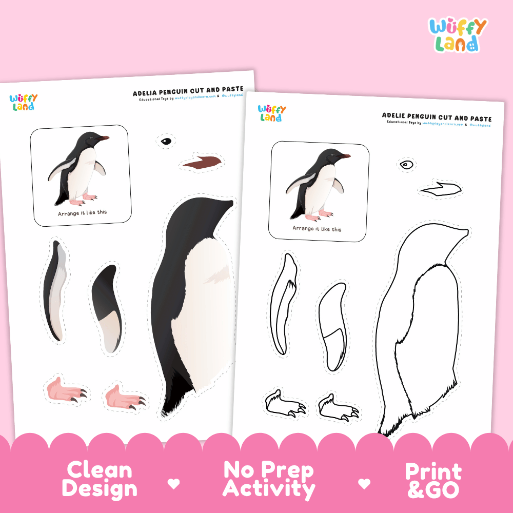 Adelie Penguin Cut and Paste Craft and Coloring Pages Activity Worksheets
