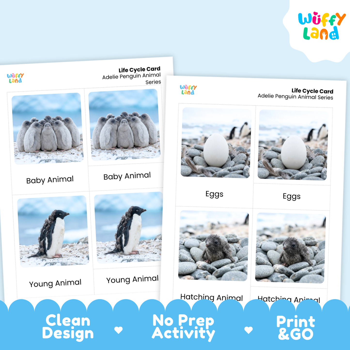 Adelie Penguin Life Cycle Flashcards | Montessori 3 Part Cards Science Activity