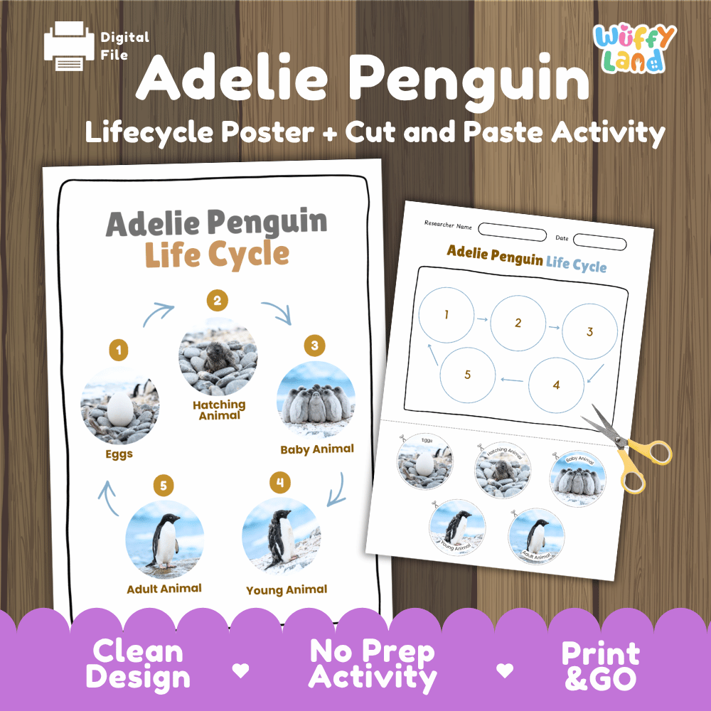 Adelie Penguin Life Cycle Poster and Cut and Paste Worksheet Activity