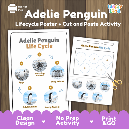 Adelie Penguin Life Cycle Poster and Cut and Paste Worksheet Activity