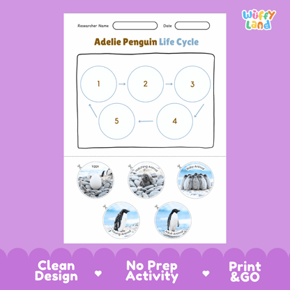 Adelie Penguin Life Cycle Poster and Cut and Paste Worksheet Activity