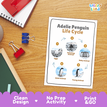 Adelie Penguin Life Cycle Poster and Cut and Paste Worksheet Activity