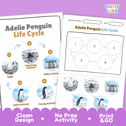 Adelie Penguin Life Cycle Poster and Cut and Paste Worksheet Activity