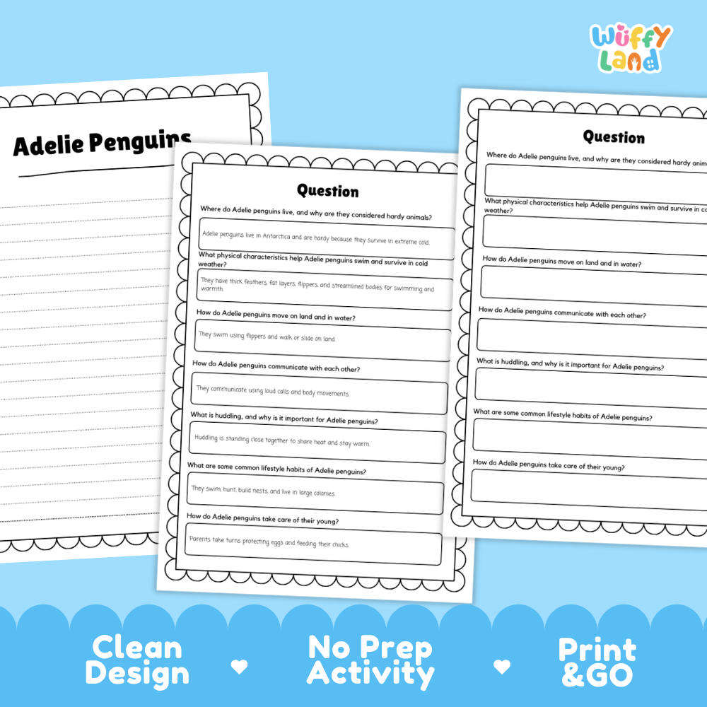 Three printable worksheet pages about Adeline penguins displayed on a light blue background with promotional text reading 'Clean Design', 'No Prep Activity', and 'Print & GO'. The pages contain black text and bordered sections for writing questions and answers.