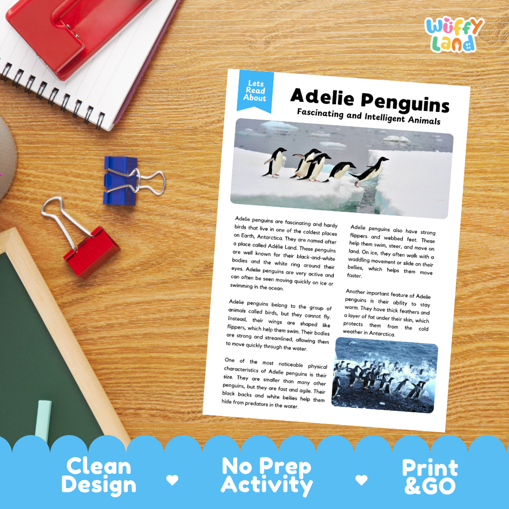 An educational printout titled 'Adelie Penguins Fascinating and Intelligent Animals' displayed on a wooden desk with red and blue binder clips, a red notebook, and a blue 'Wiffly Land' logo banner in the corner. The print includes text and two images of penguins, with a blue decorative banner at the bottom reading 'Clean Design', 'No Prep Activity', and 'Print & GO'.