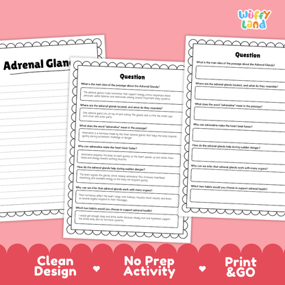 Informational reading passage page detailing human adrenal glands kidney location adrenaline hormone outer and inner layers and health habits with diagrams