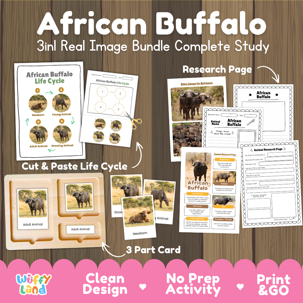 African buffalo 3-in-1 real image bundle complete study cover showing cut and paste life cycle, 3 part cards, and research pages