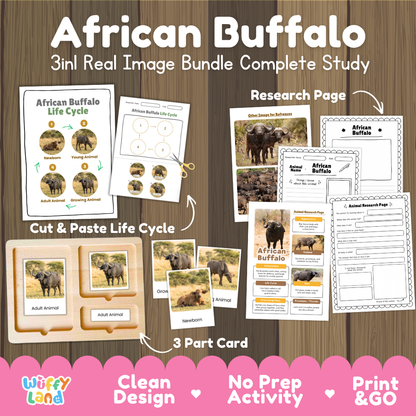 African buffalo 3-in-1 real image bundle complete study cover showing cut and paste life cycle, 3 part cards, and research pages