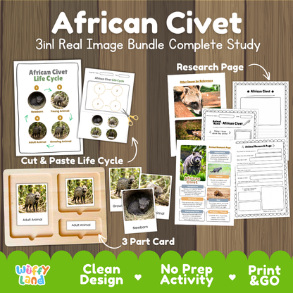 African civet 3-in-1 real image bundle complete study cover showing cut and paste life cycle, 3 part cards, and research pages