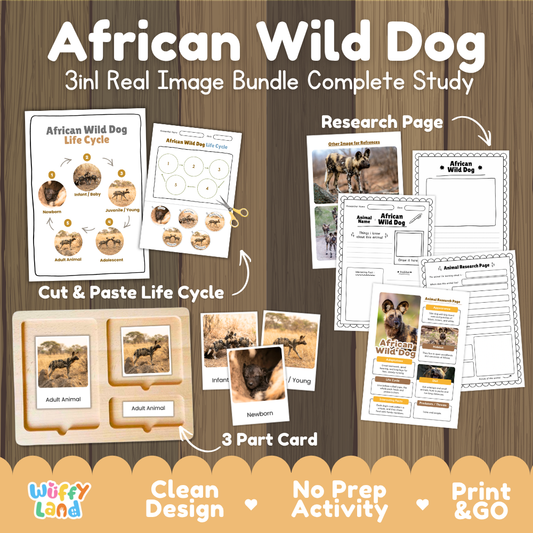 African wild dog 3-in-1 real image bundle complete study cover showing cut and paste life cycle, 3 part cards, and research pages