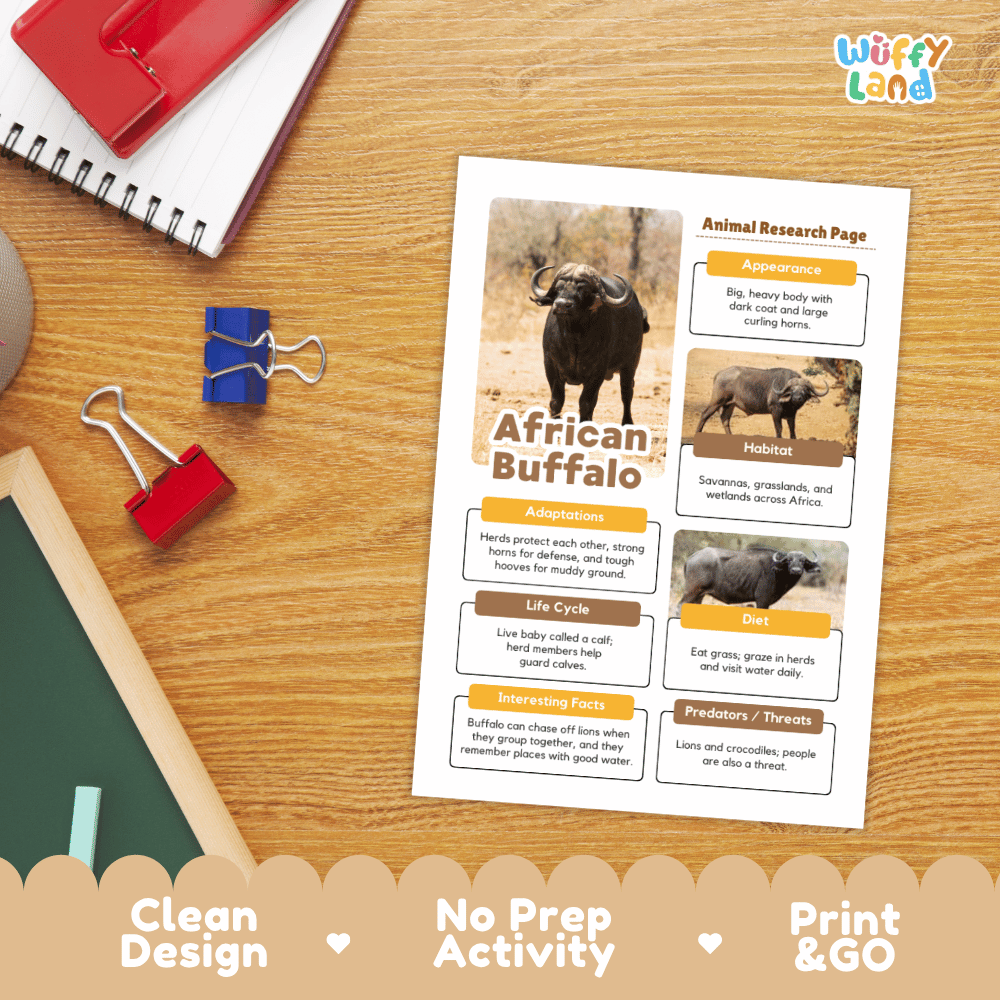 An educational activity sheet titled 'African Buffalo' printed on a white card, displayed on a wooden desk with school supplies like a spiral notebook, binder clips, and a red notebook. The sheet includes animal facts, illustrations, and text blocks.