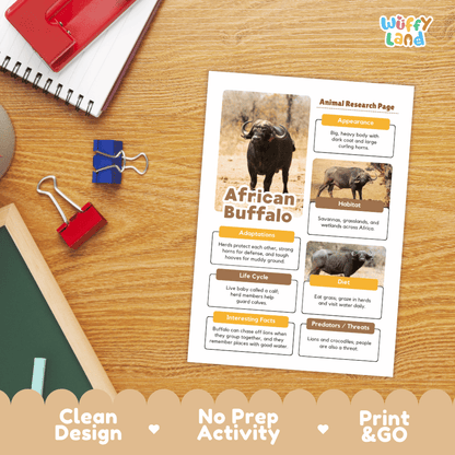 An educational activity sheet titled 'African Buffalo' printed on a white card, displayed on a wooden desk with school supplies like a spiral notebook, binder clips, and a red notebook. The sheet includes animal facts, illustrations, and text blocks.