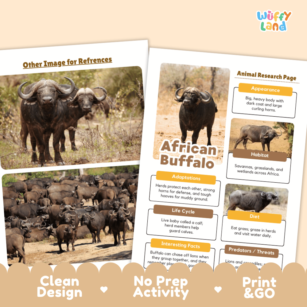 Two printed activity worksheet pages about African buffaloes shown on a beige background with decorative text along the bottom. The pages contain photos of buffalo, labeled fact boxes, and sections for appearance, habitat, adaptations, life cycle, diet, predators, and interesting facts.