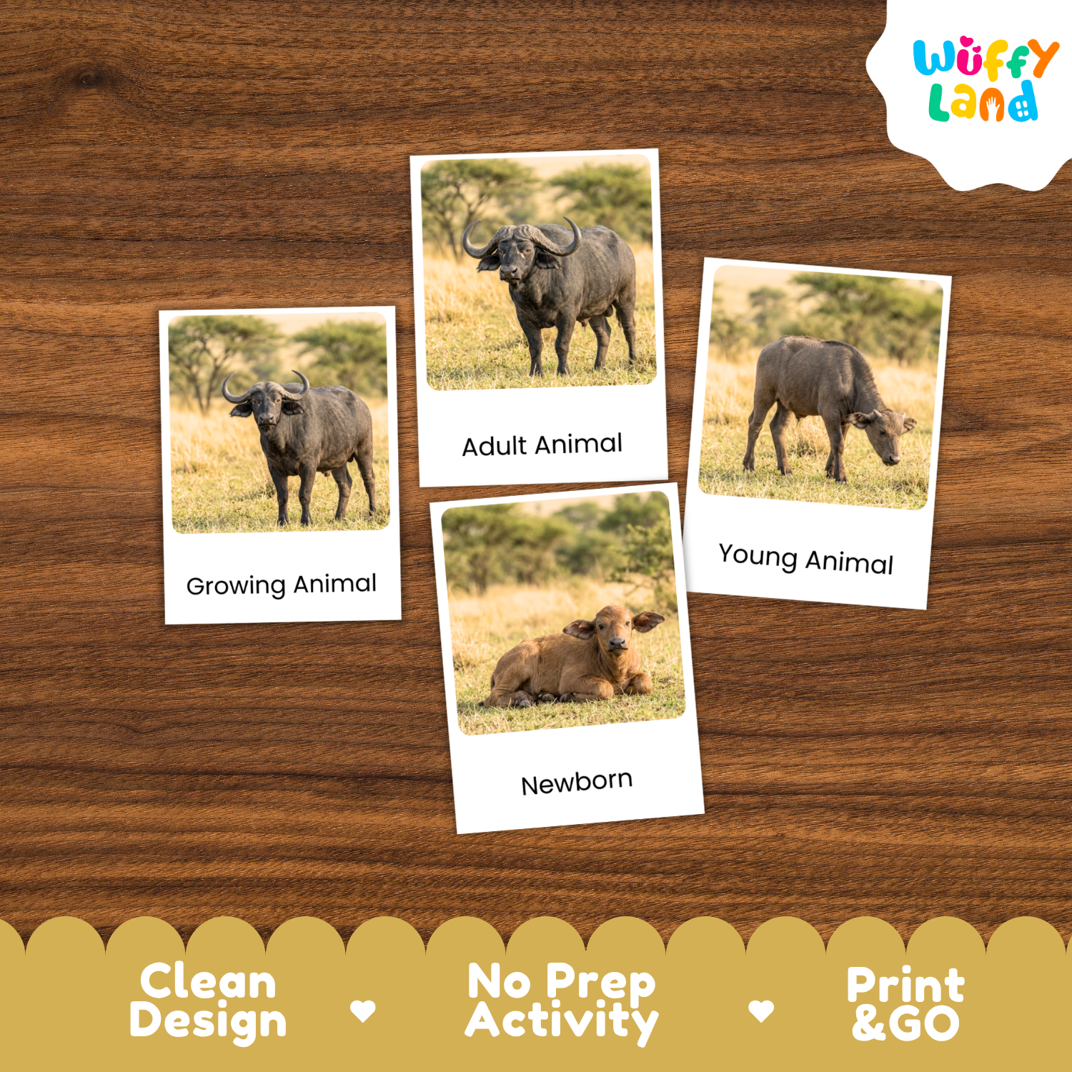 Four printed animal activity cards showing adult, growing, young, and newborn animals, arranged on a brown wood background with a Wuffy Land logo and feature badges.