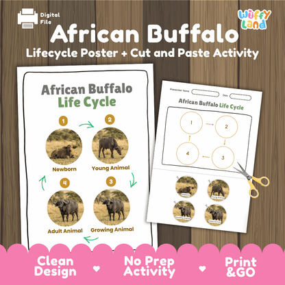 African Buffalo Life Cycle Poster and Cut and Paste Activity Worksheets