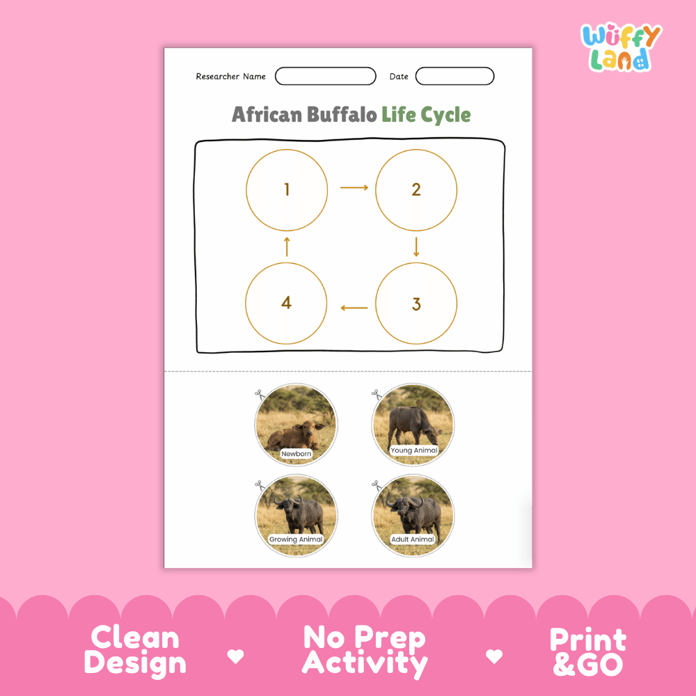 African Buffalo Life Cycle Poster and Cut and Paste Activity Worksheets