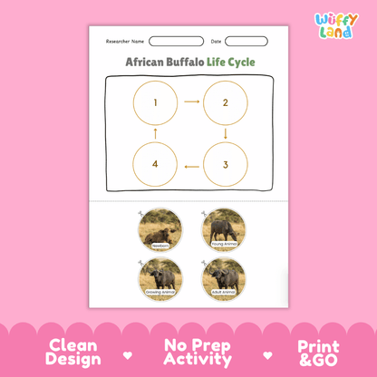 African Buffalo Life Cycle Poster and Cut and Paste Activity Worksheets