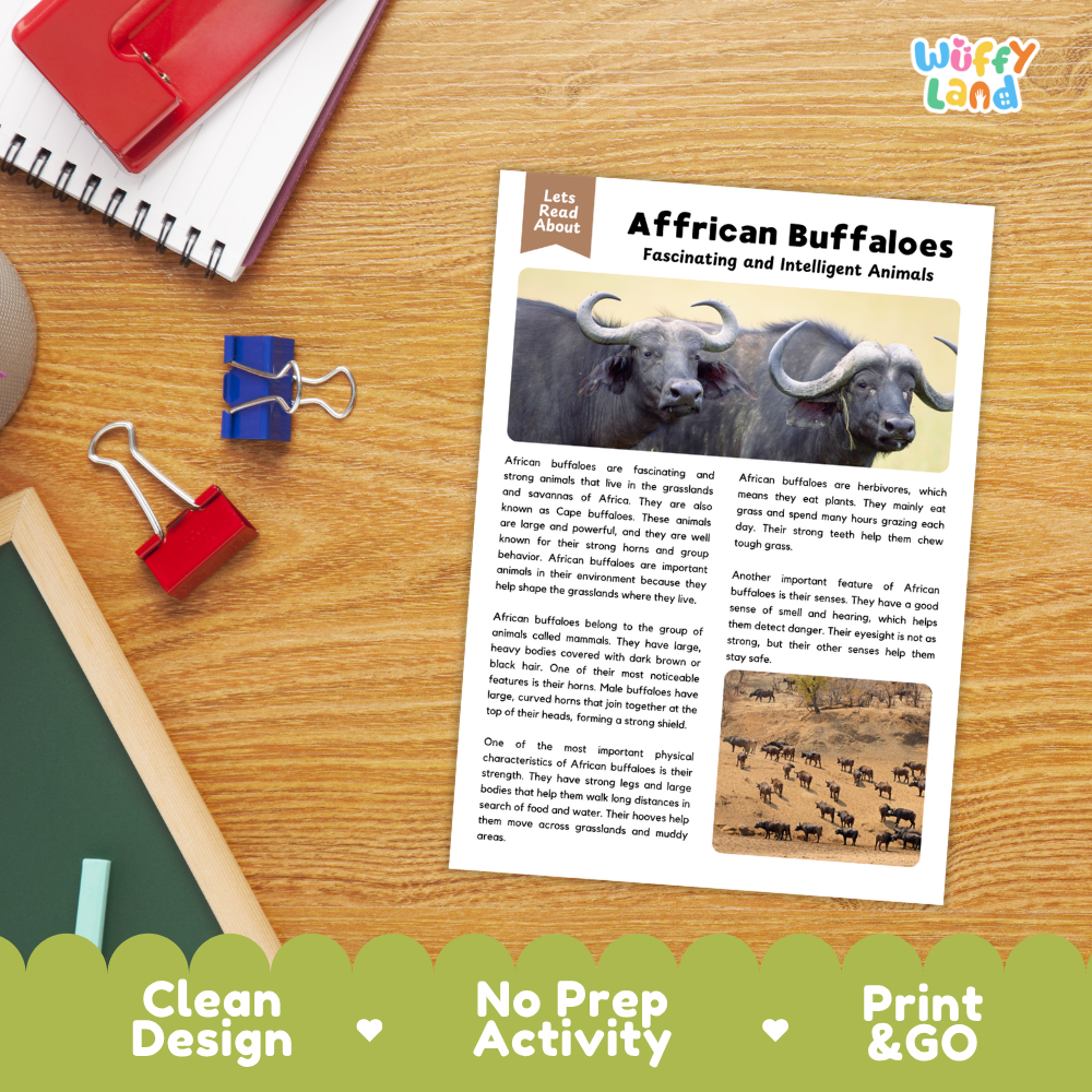 An educational activity sheet titled 'African Buffaloes Fascinating and Intelligent Animals' displayed on a wooden desk with a spiral notebook, binder clips, and a red notebook. The sheet features text, a photo of a water buffalo, and a black-and-white historical print.