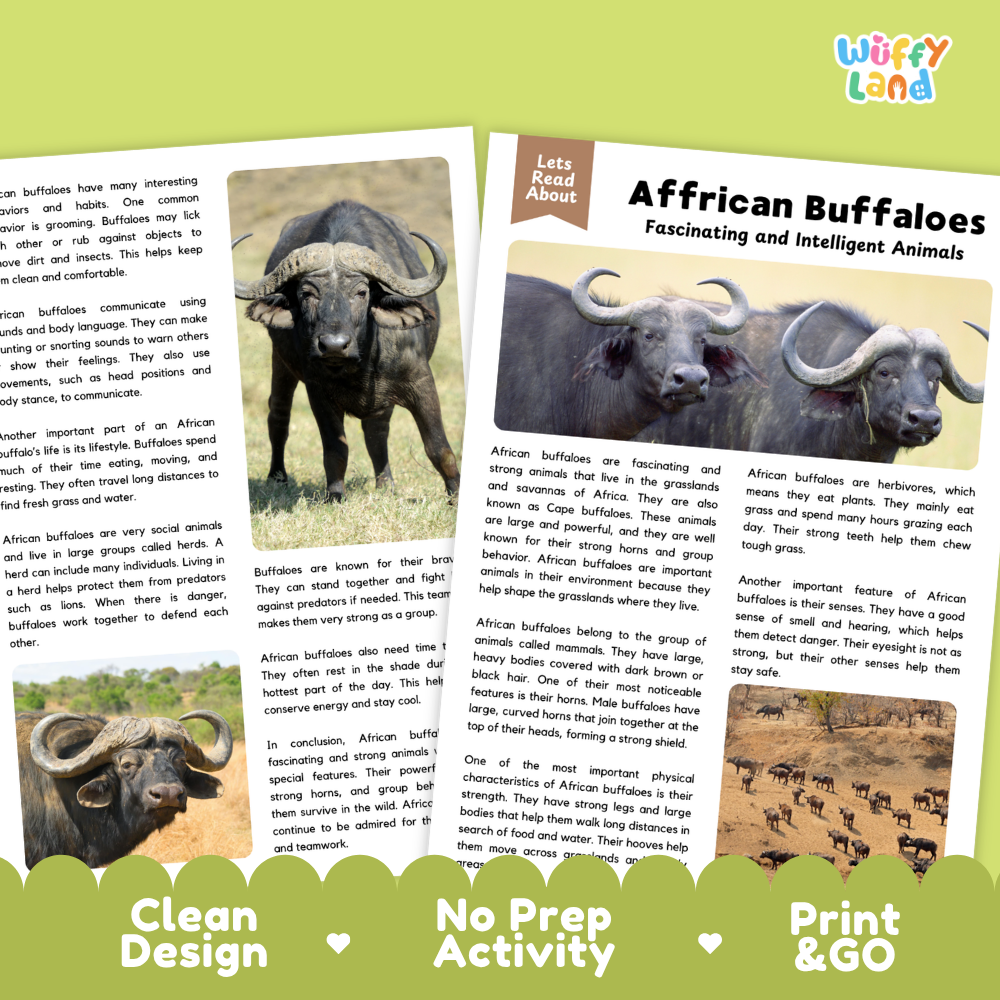 An educational activity booklet titled 'African Buffaloes Fascinating and Intelligent Animals' by Wuffly Land, featuring text, illustrations, and small photos of African buffaloes. The booklet is displayed on a white background with promotional badges at the bottom reading 'Clean Design', 'No Prep Activity', and 'Print & Go'.