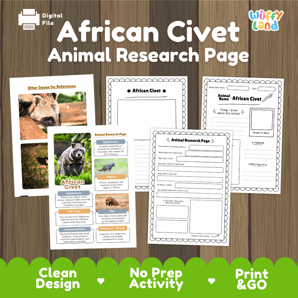 African Civet Animal Research Page and Worksheets