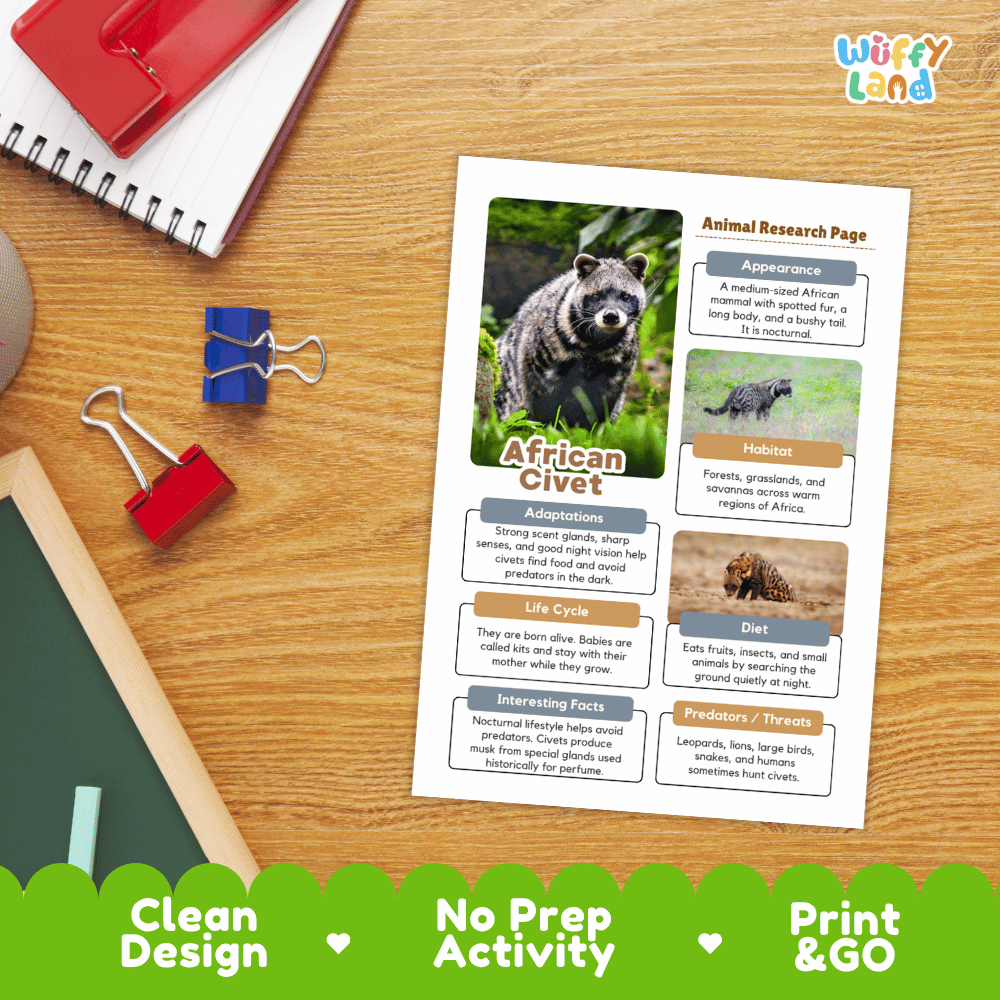 African Civet Animal Research Page and Worksheets