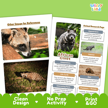 African Civet Animal Research Page and Worksheets